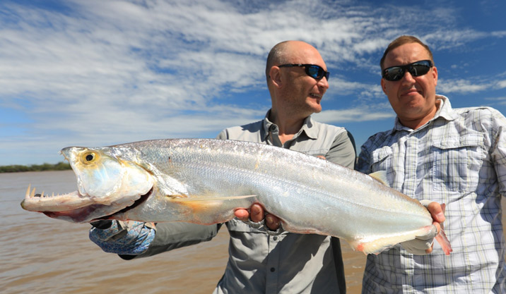 Sistema de clasificación
